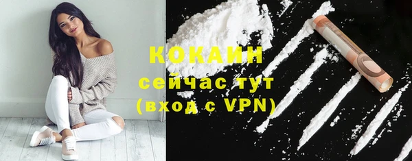 гидра Бронницы
