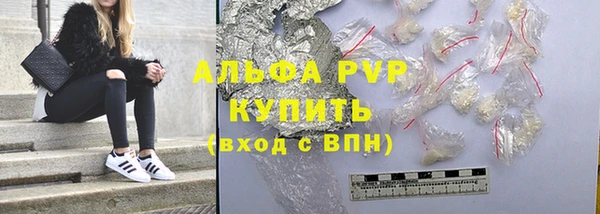 гидра Бронницы